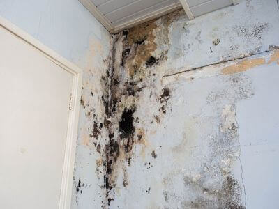 About Water Damage Restoration Hybla Valley - water damage restoration experts in Hybla Valley