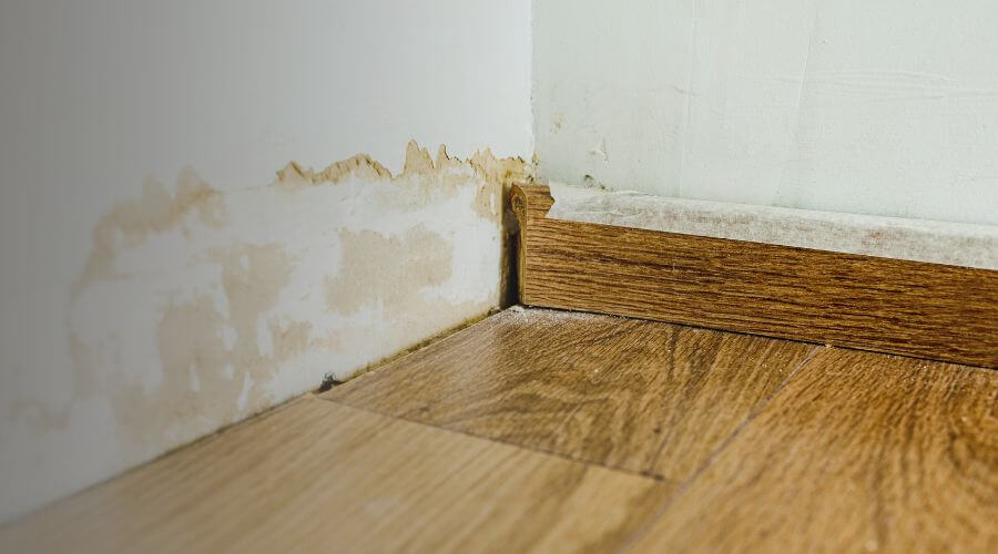 Why choose Water Damage Restoration Hybla Valley for water damage restoration in Hybla Valley